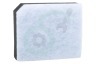 AEG Stofzuiger 2194113029 Filter Mousse, Cyclone
