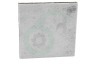 Philips Stofzuiger 432200039731 CP9260/01 Filter Triple Motorfilter