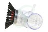Dyson Stofzuiger 91613007 916130-07 Dyson Allergy Cleaning Kit