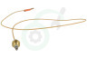 Whirlpool Fornuis C00052986 Thermokoppel van kookplaat