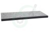 Bosch Afzuigkap 20004001 Koolstoffilter