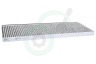 Bosch Afzuigkap 20004001 Koolstoffilter