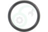 DeLonghi Koffiezetapparaat 5313238581 Afdichtingsrubber