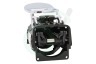 Nespresso Koffiezetapparaat 7313247671 Brouwunit Zetgroep