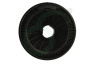 Beko Afzuigkap 9197060046 Filter Koolstoffilter