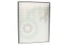 Philips Luchtbehandeling 424121086211 CP6733/01 Filter Hepafilter