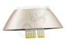 Philips 422210044491 Opzetstuk Gezicht Rose