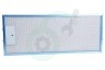 Ignis Afzuigkap C00861321 Filter Vetfilter