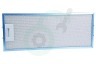 Ignis Afzuigkap C00861321 Filter Vetfilter