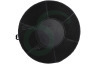 Indesit Afzuigkap 484000008783 Filter Koolstof rond -23cm-