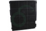 Ikea Afzuigkap 484000008575 Filter Koolstof 225x210x30mm