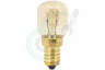 Philips Oven-Magnetron C00863215 LFO136 Lamp Ovenlamp 25W E14 T25
