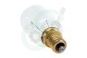 Whirlpool Oven-Magnetron 481213488001 Lamp Oven lamp 40W E14