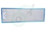 Pelgrim Afzuigkap 24770 Filter Metaal 515 x 165 mm