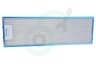 Pelgrim Afzuigkap 24770 Filter Metaal 515 x 165 mm