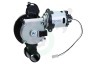 Saeco Koffiezetapparaat 421944054631 Maalwerk Maalwerkmotor