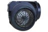 Novy Afzuigkap 6510178 508-900235 Motor Elan 90cm (4000021)