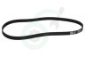Kenwood Broodbakmachine KW713310 Snaar Aandrijfsnaar broodbakmachine