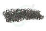 BaByliss 25101200 Filter Achter