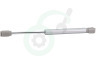 Inventum Afzuigkap 40600900032 Gasveer