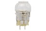 Pelgrim FI6A4E-CTG41/04 PFI8265RVS 729086 Oven Lamp 
