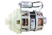Etna Afwasmachine 405253 Circulatiepomp met condensator geschikt voor o.a. GVW465RVSP02, TFI7001ZTE01