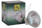 Alternatief 4050300443935  Halogeenlamp Halogeen steek lamp 1 st geschikt voor o.a. GU4 12v 10 watt
