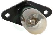 Pelgrim 32480  Lamp Lampje 20W met houder geschikt voor o.a. ESM132RVS, MAG675RVS