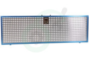 Itho Dampkap 650020 Vetfilter geschikt voor o.a. Novy Vlakscherm Essence 60cm (650)