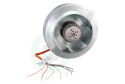 Novy Dampkap 6830083 Motor geschikt voor o.a. D7559991, D7459991