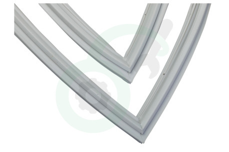 Hanseatic Koelkast 4668512200 Afdichtingsrubber Koelkast