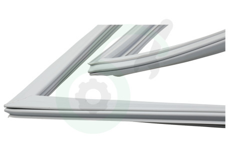 Hanseatic Koelkast 4668512200 Afdichtingsrubber Koelkast