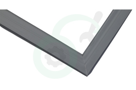 Haier Koelkast 49053636 0060834228C Afdichtingsrubber Koelkast