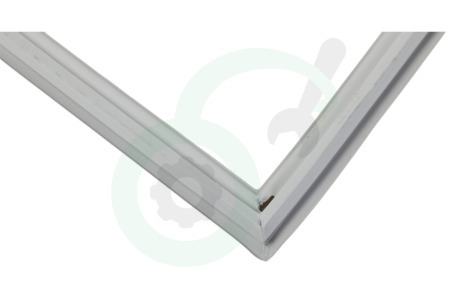 Hisense Koelkast HK1632709 Afdichtingsrubber Koelkast