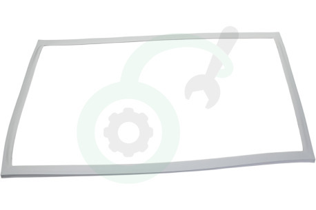 Hisense Koelkast HK1632709 Afdichtingsrubber Koelkast