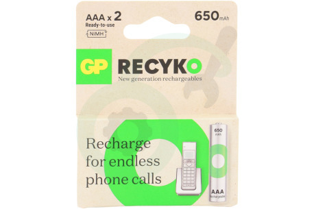 GP  GPRCK65AAA680C2 LR03 ReCyko+ AAA 650 - 2 oplaadbare batterijen
