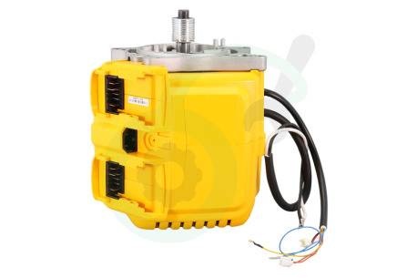 Dewalt  N631879 Motor Compleet