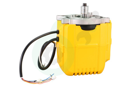 Dewalt  N631879 Motor Compleet