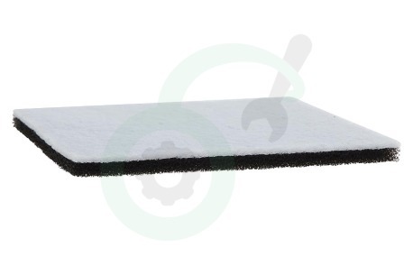 Philips Stofzuiger 482248010228 Filter Motor -vierkant-