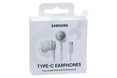 Samsung  SAM-10320-PK EO-IC100BWEGEU Samsung In-Ear Headset Type C Wit