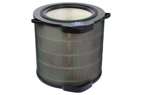 AEG  9009229809 AFDBTH4 AX9 Breathe360 Pollen Protect Filter