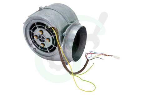 Pelgrim Afzuigkap 23645 Motor Compleet
