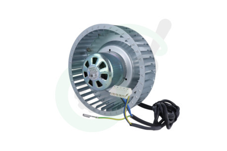 Novy  6810378 Motor