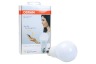 Osram Home Automation Verlichting Wifi lampen 