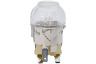 Atag OX6492LR/A00 949715032 00 Combimagnetron Lamp 